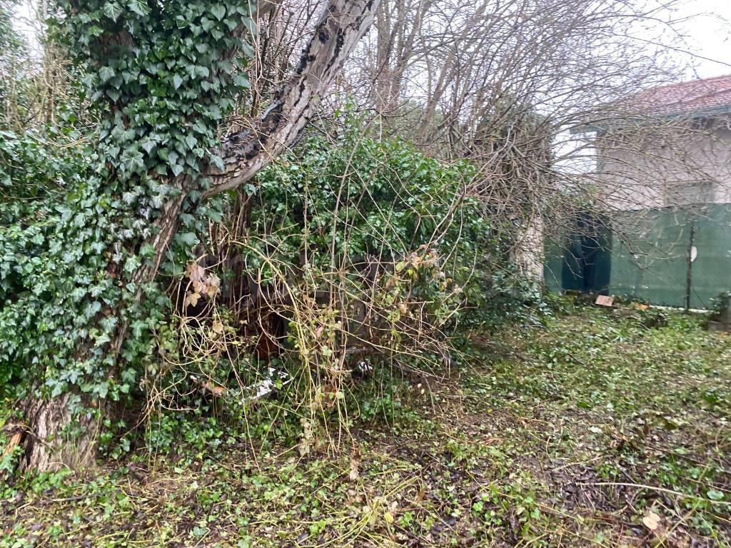 immagine annuncio 4 di 8