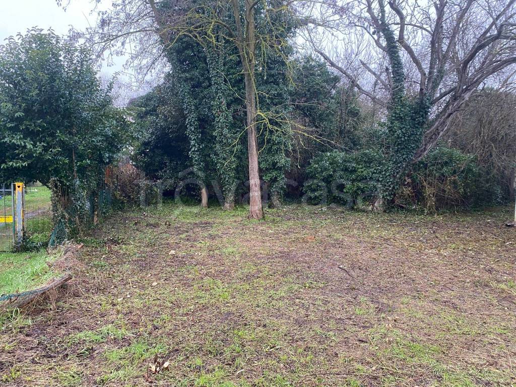 immagine annuncio 5 di 8