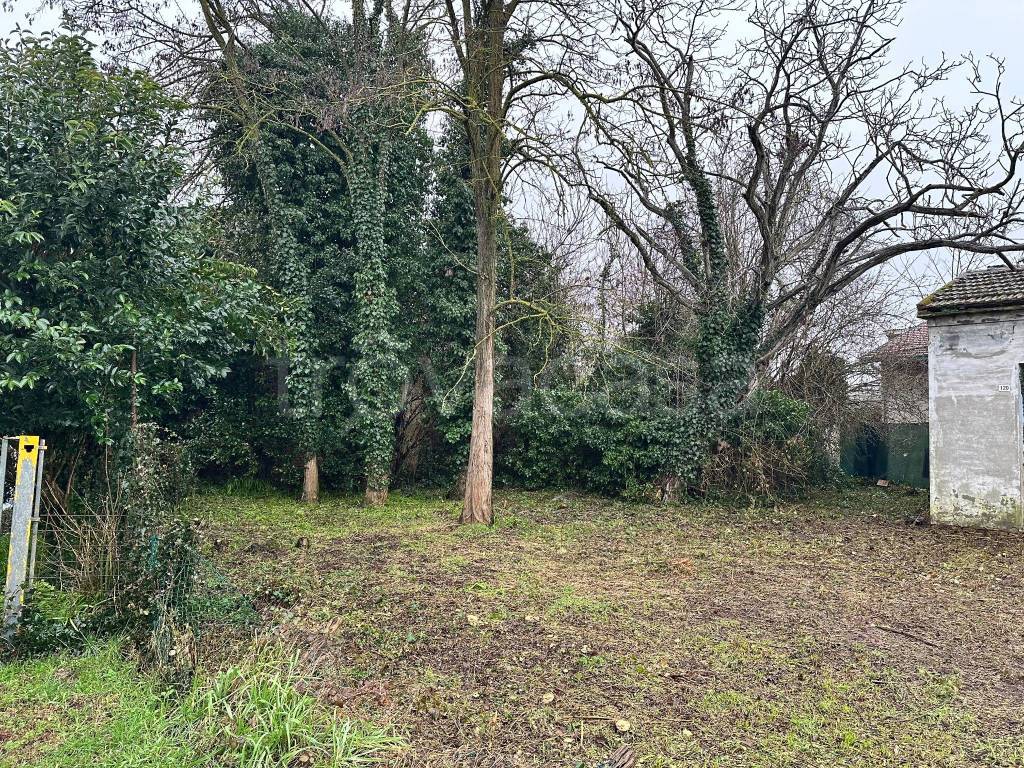 immagine annuncio 3 di 8