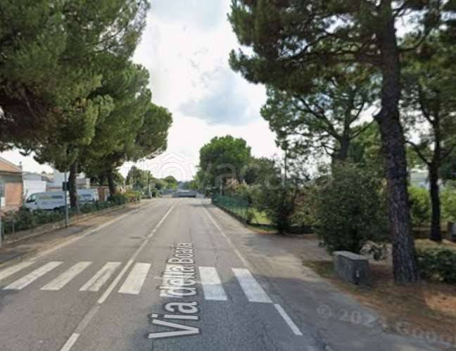 immagine annuncio 7 di 14