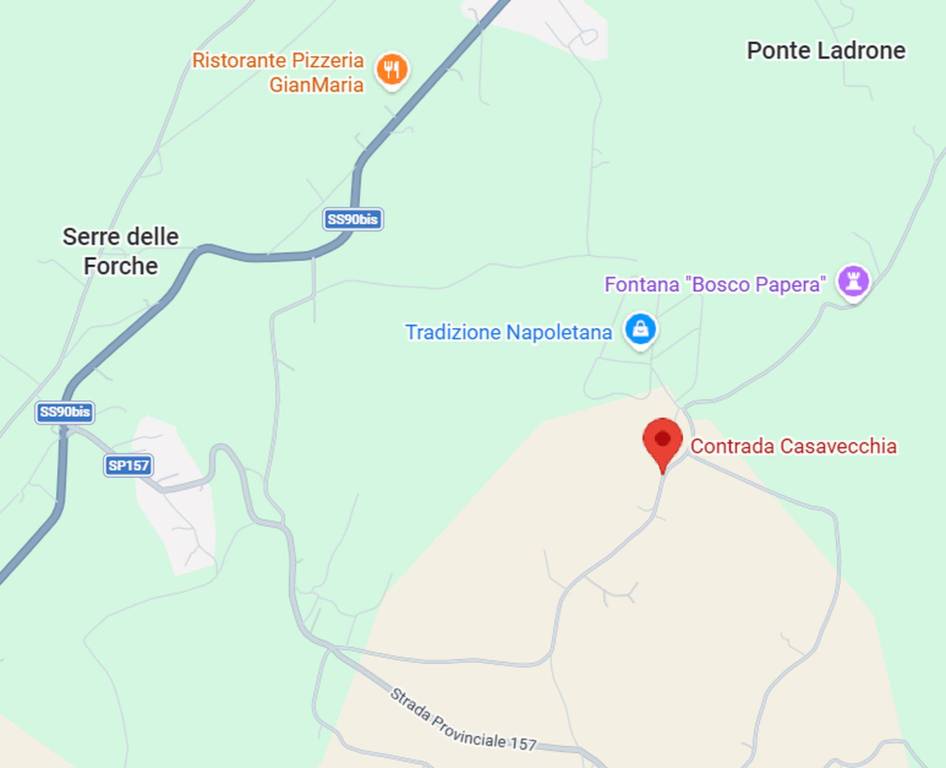 immagine annuncio 2 di 11