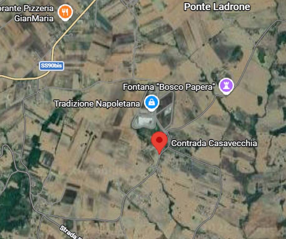 immagine annuncio 9 di 11