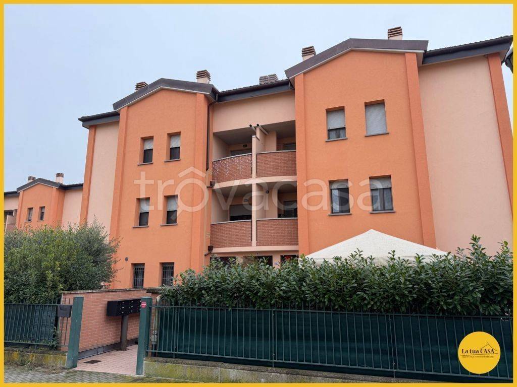 immagine annuncio 8 di 15