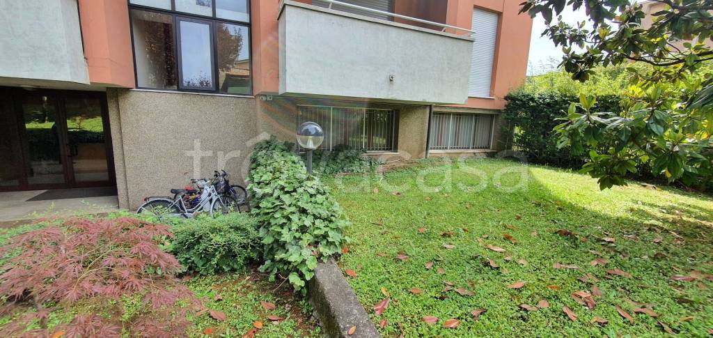 immagine annuncio 11 di 13