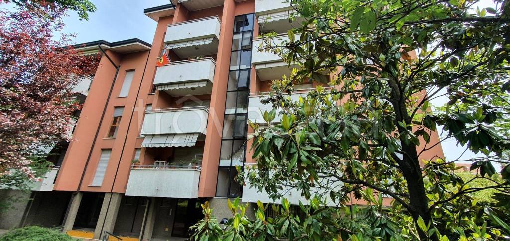 immagine annuncio 12 di 13