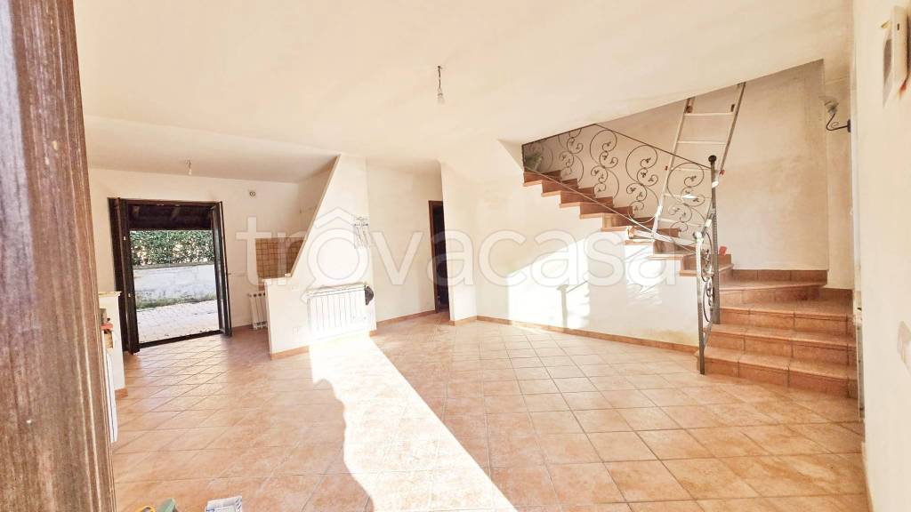 immagine annuncio 3 di 14