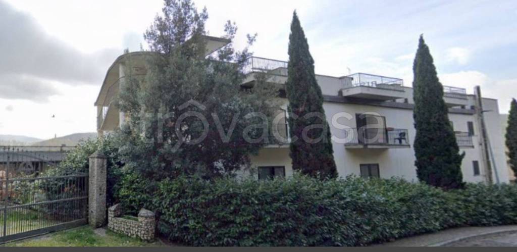 immagine annuncio 5 di 12