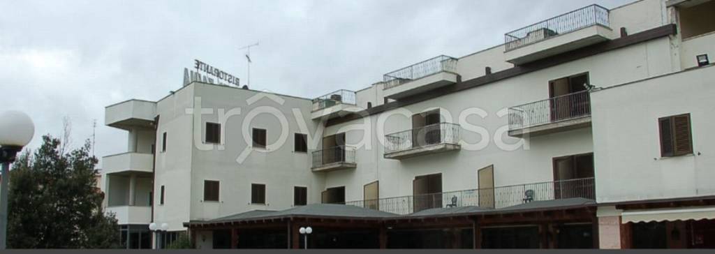 immagine annuncio 6 di 12