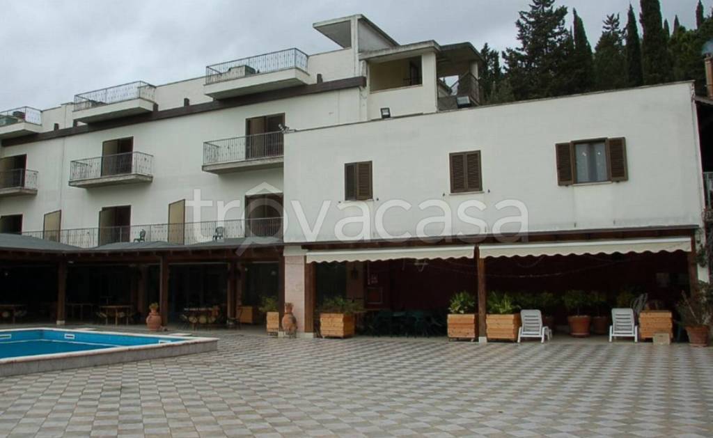 immagine annuncio 9 di 12