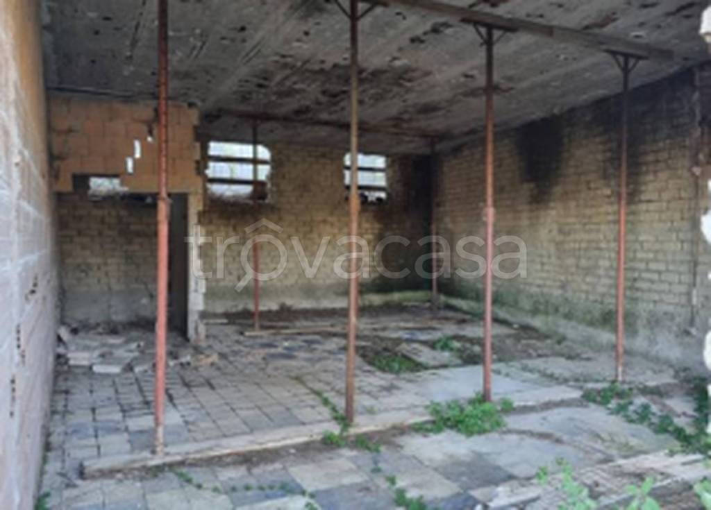 immagine annuncio 6 di 11