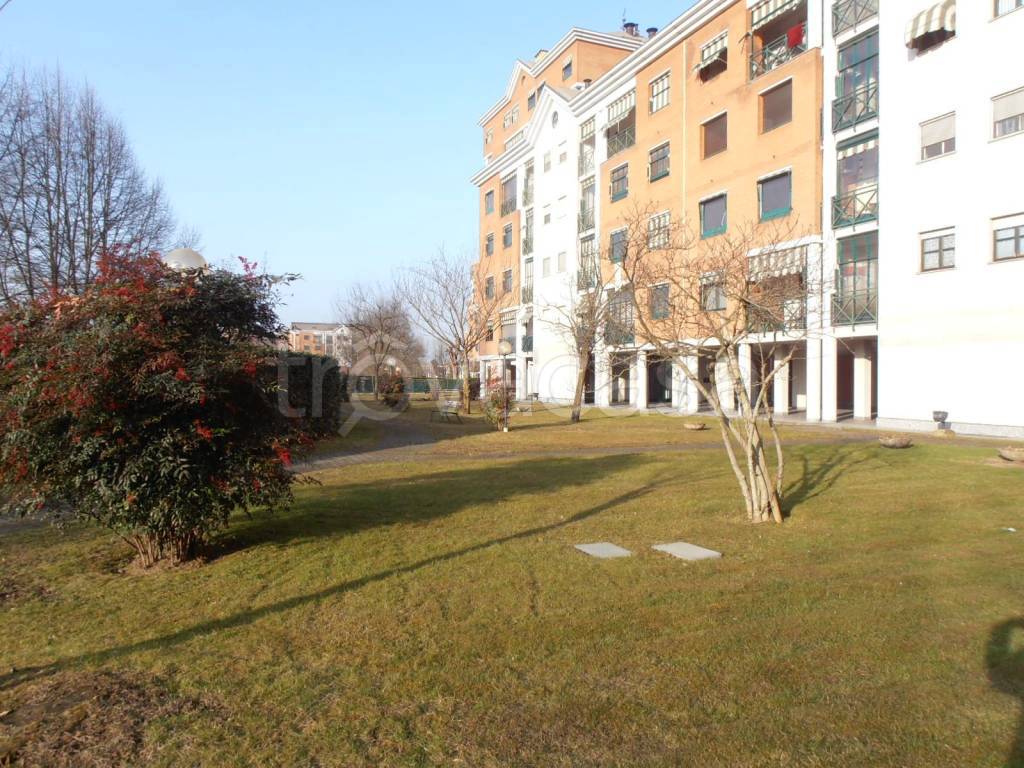 immagine annuncio 4 di 15