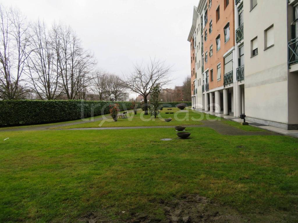 immagine annuncio 6 di 15