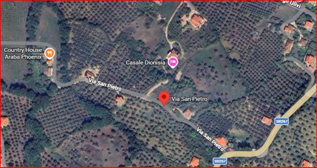 immagine annuncio 10 di 11