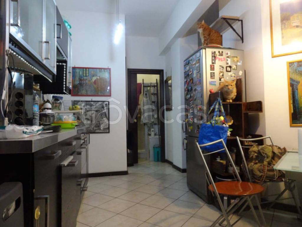 immagine annuncio 4 di 14