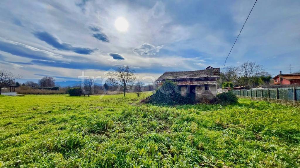 immagine annuncio 1 di 3