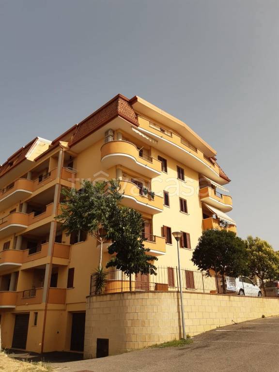 immagine annuncio 2 di 4