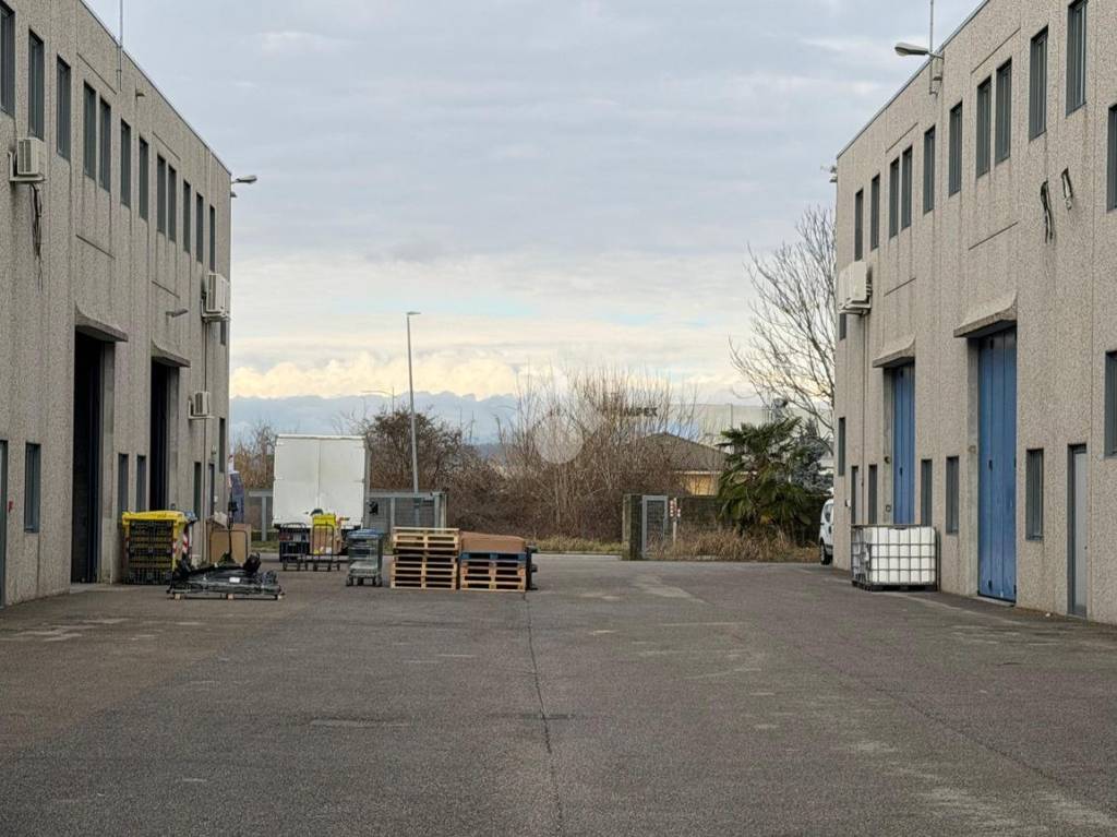 immagine annuncio 3 di 15