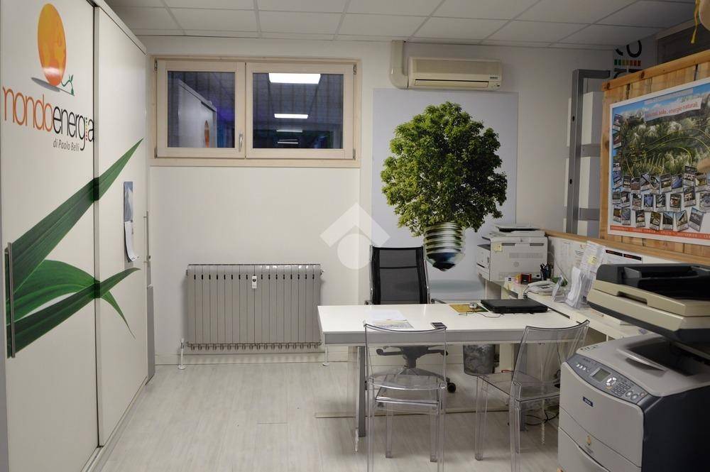 immagine annuncio 5 di 14