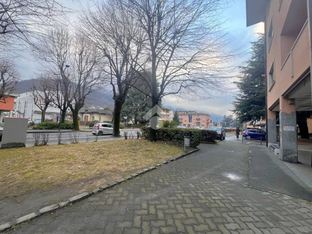 immagine annuncio 12 di 14