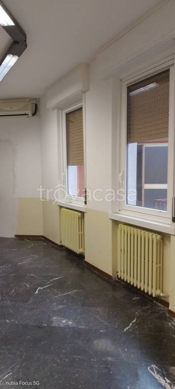 immagine annuncio 5 di 7