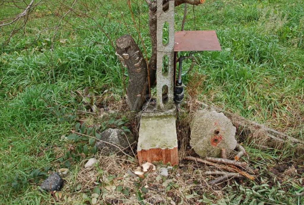 immagine annuncio 4 di 10