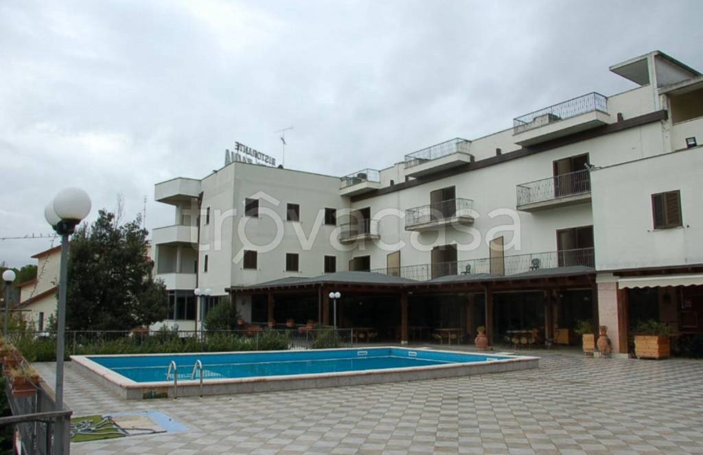 immagine annuncio 7 di 10