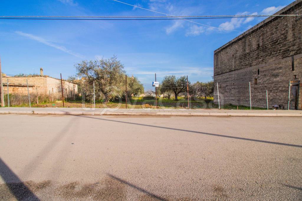 immagine annuncio 1 di 3