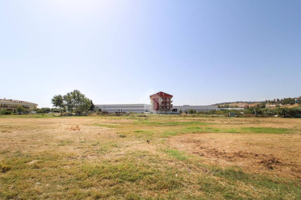 immagine annuncio 2 di 14