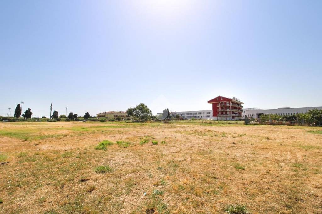 immagine annuncio 7 di 14