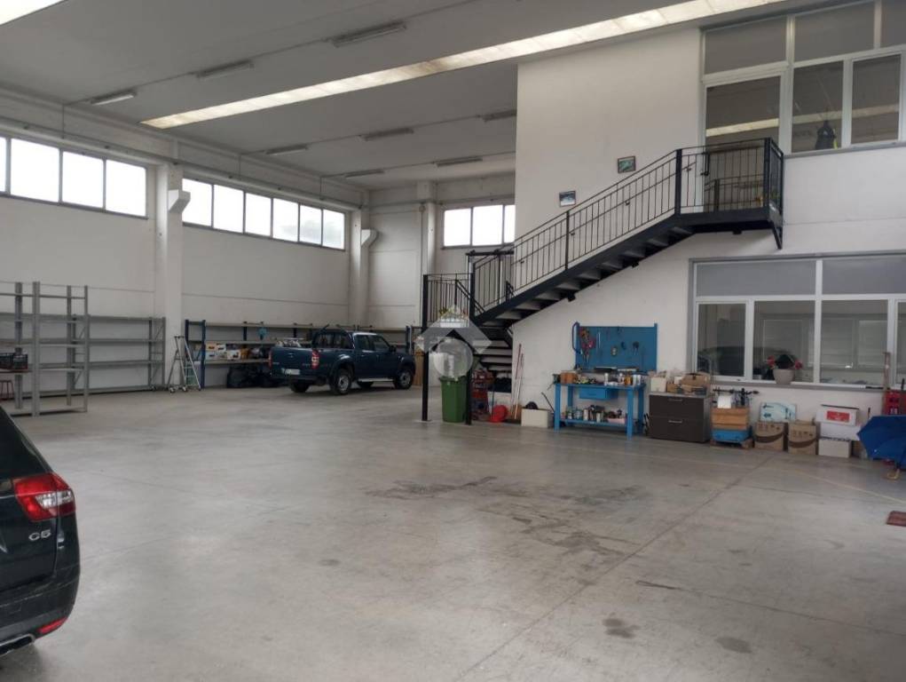 immagine annuncio 1 di 11