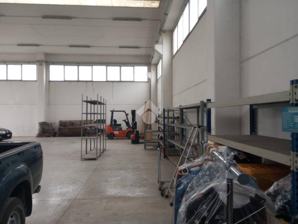 immagine annuncio 2 di 11