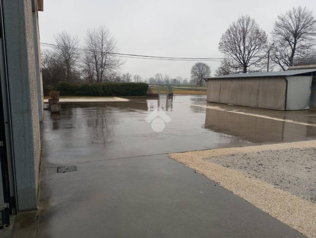 immagine annuncio 3 di 11