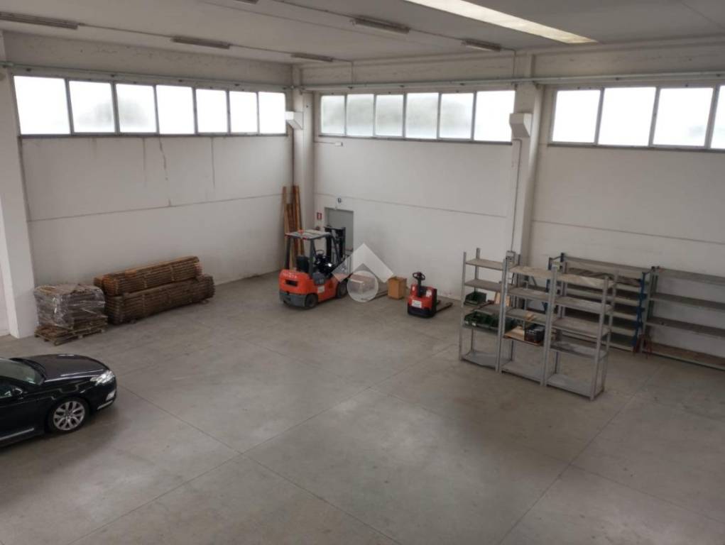 immagine annuncio 4 di 11