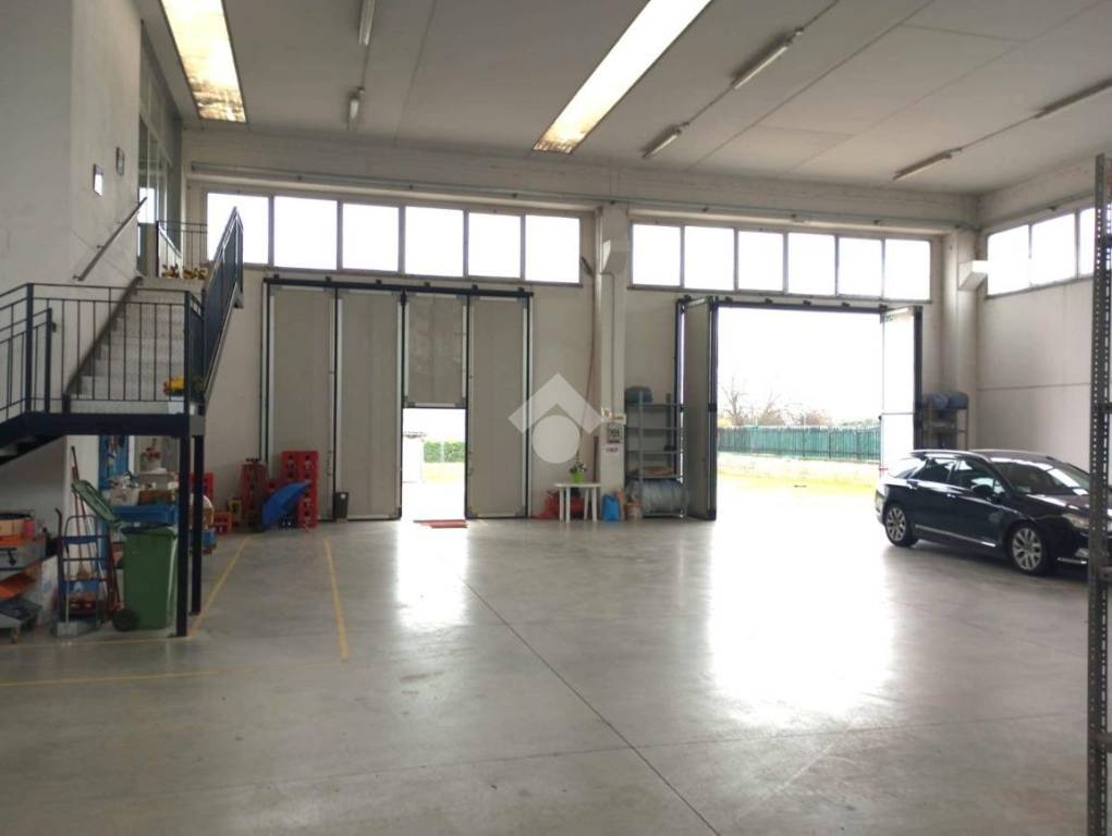 immagine annuncio 5 di 11