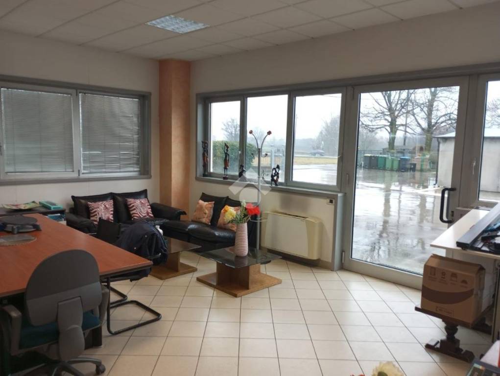 immagine annuncio 6 di 11