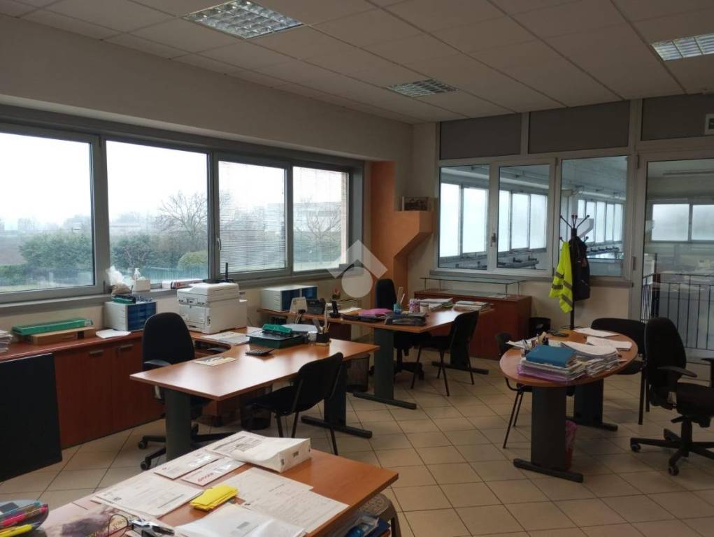 immagine annuncio 8 di 11