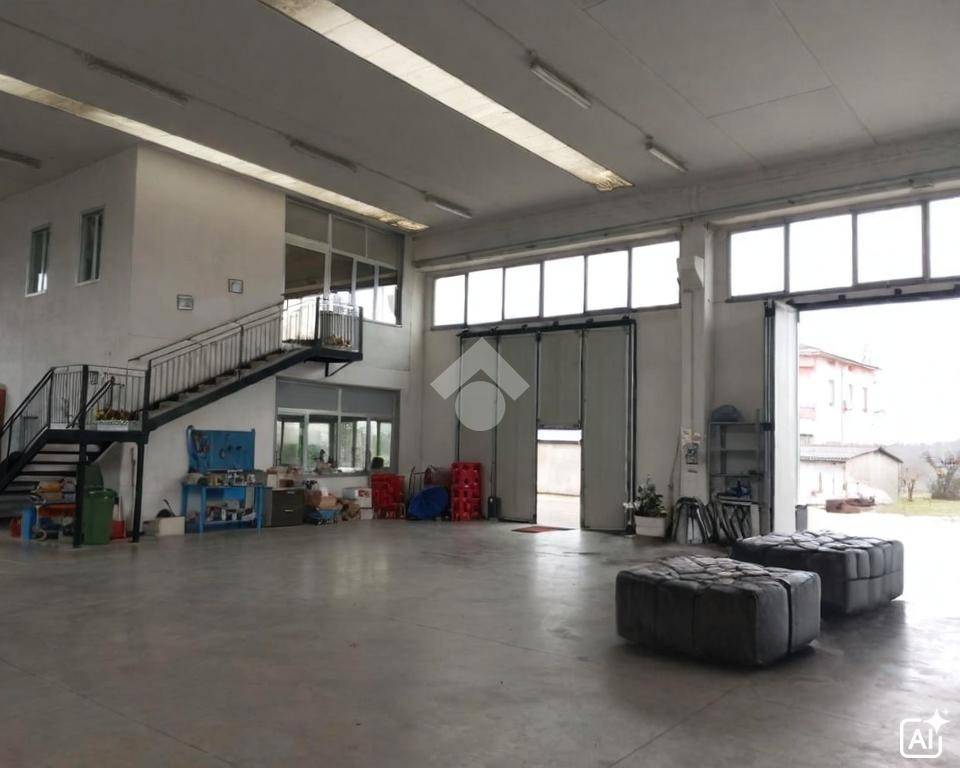 immagine annuncio 9 di 11