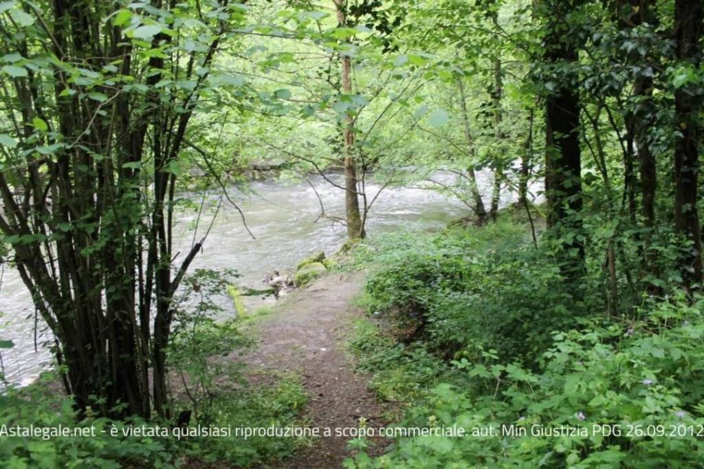 immagine annuncio 2 di 9