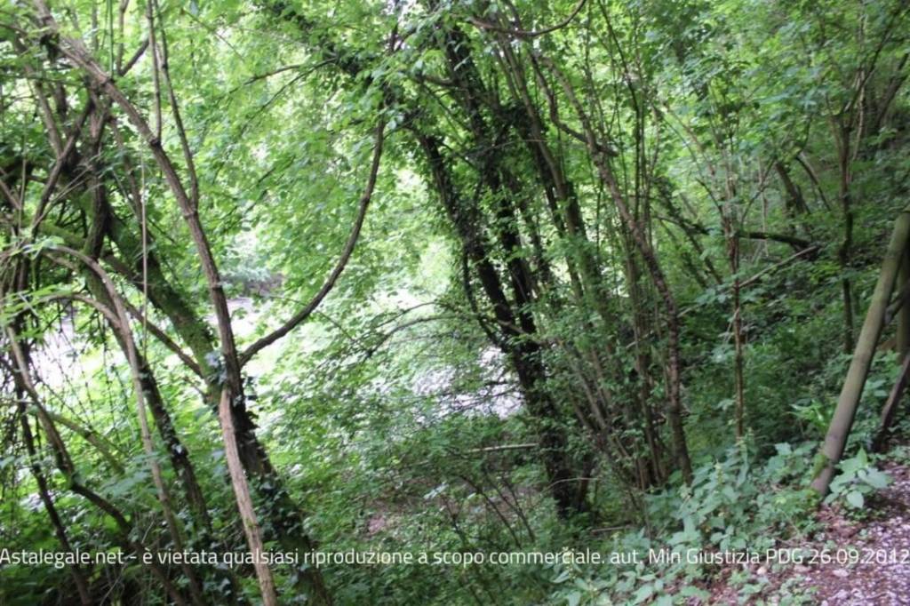 immagine annuncio 4 di 9