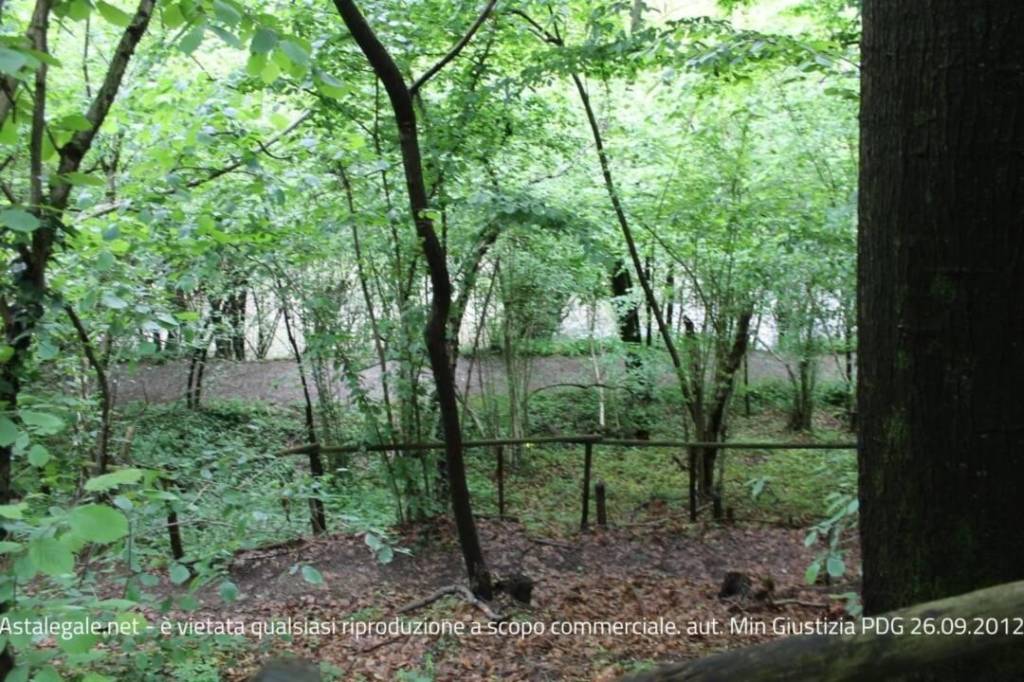 immagine annuncio 5 di 9