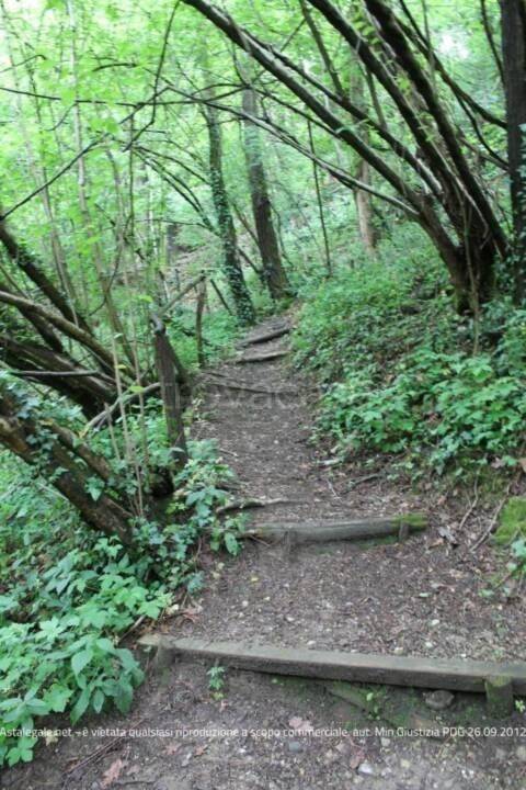 immagine annuncio 6 di 9