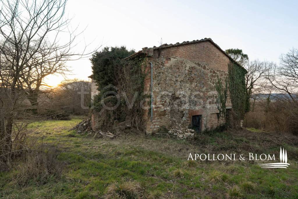 immagine annuncio 8 di 11