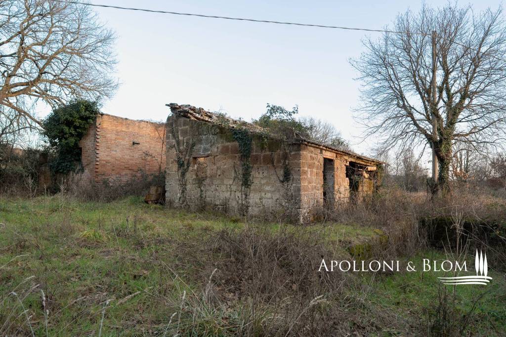 immagine annuncio 9 di 11