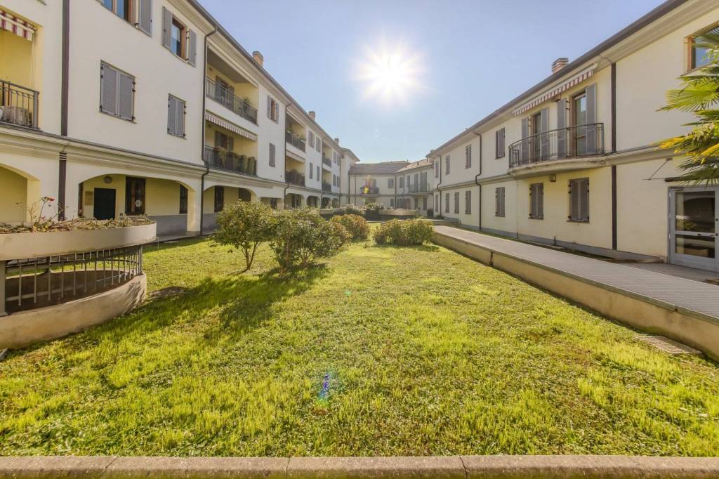 immagine annuncio 1 di 15