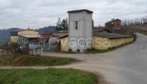 immagine annuncio 2 di 9