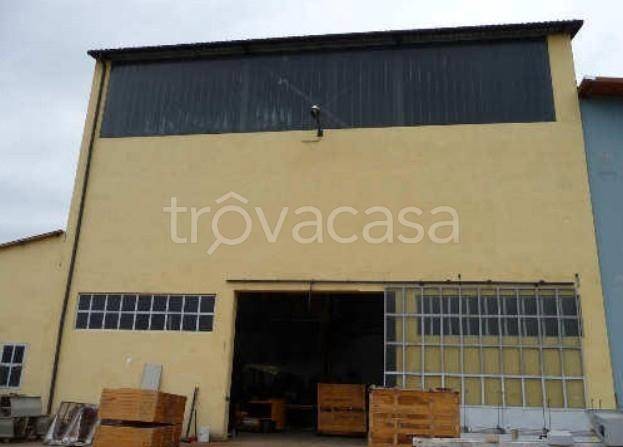 immagine annuncio 4 di 9