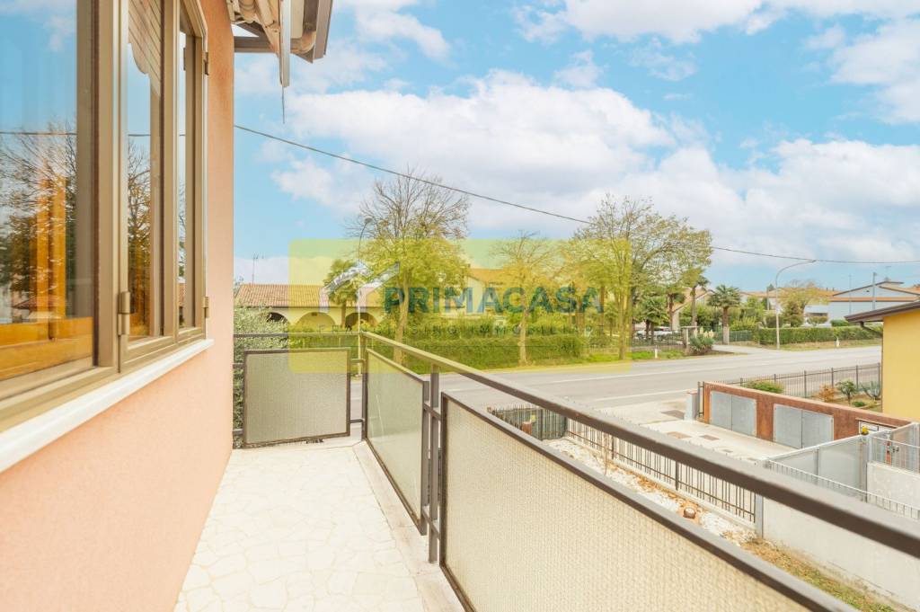 immagine annuncio 11 di 14