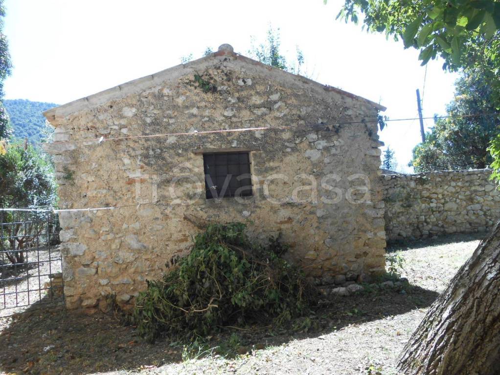 immagine annuncio 13 di 14