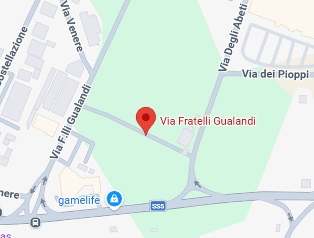 immagine annuncio 5 di 12