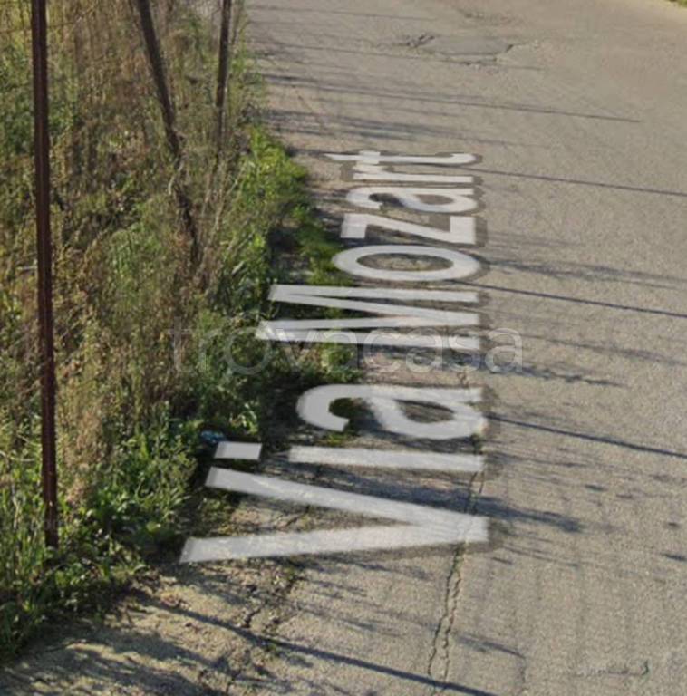 immagine annuncio 3 di 12